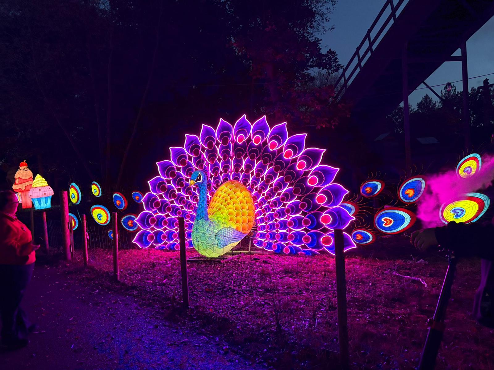 Whatsapp Image 2024 10 22 At 15.23.29 (1)